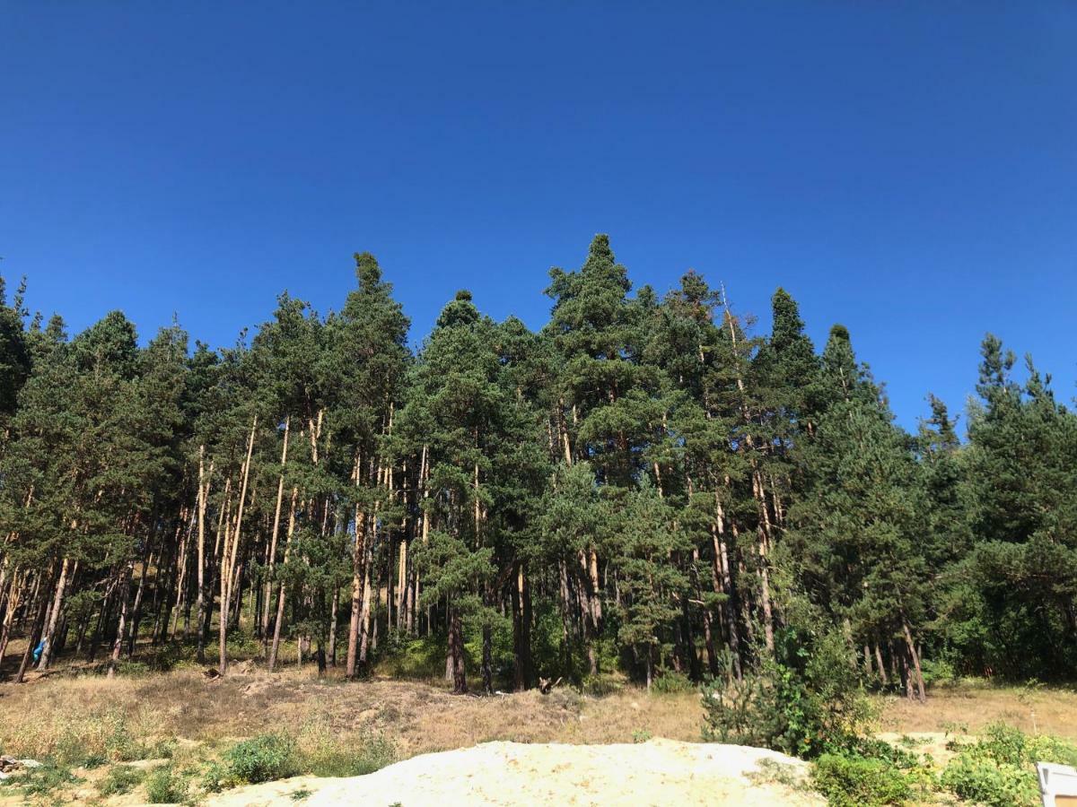 Borov Park 3 Apartman Velingrad Kültér fotó