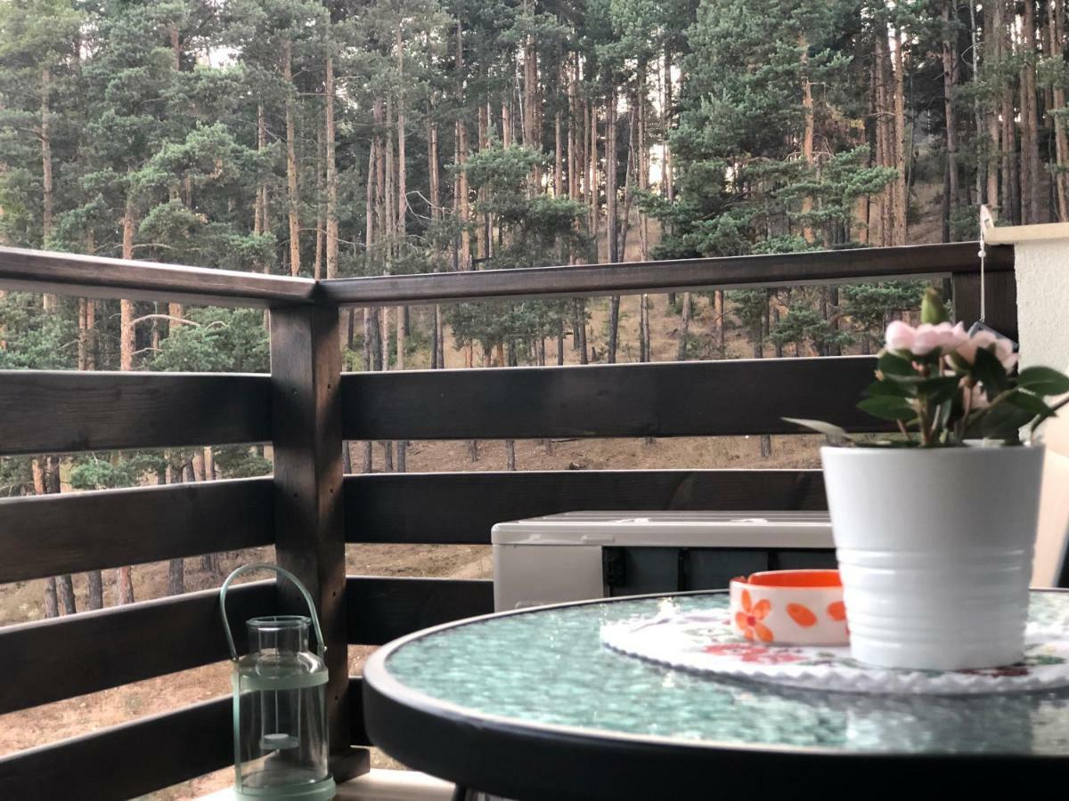 Borov Park 3 Apartman Velingrad Kültér fotó