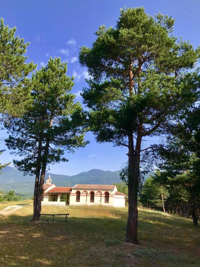 Borov Park 3 Apartman Velingrad Kültér fotó