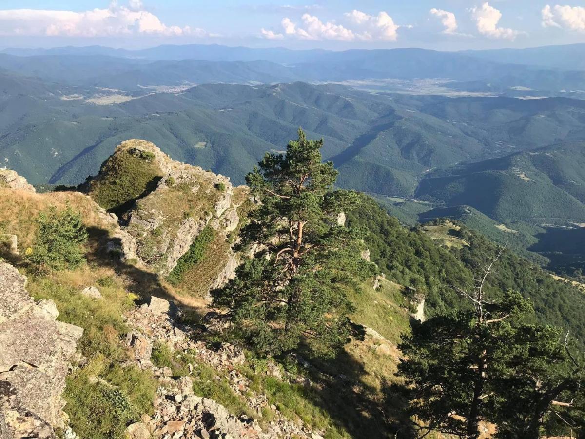 Borov Park 3 Apartman Velingrad Kültér fotó