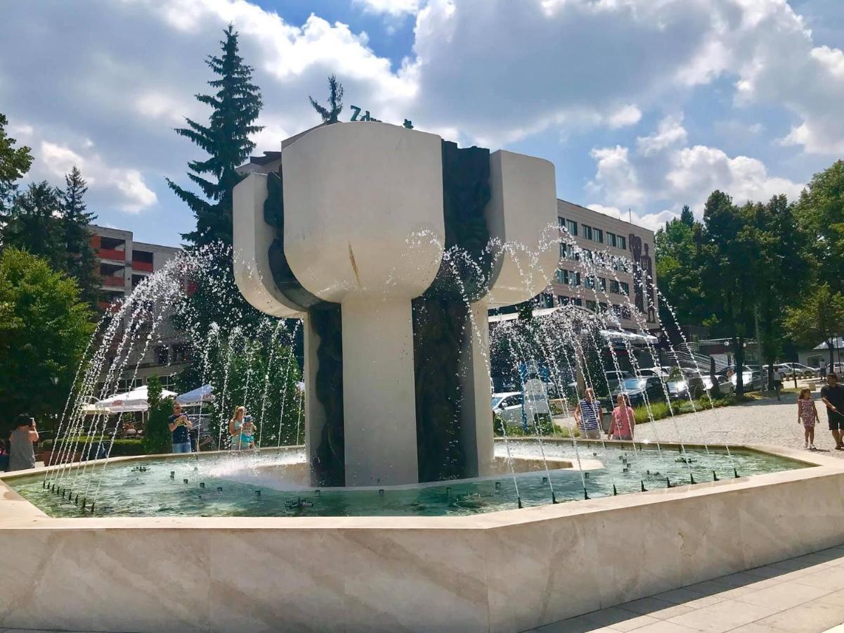 Borov Park 3 Apartman Velingrad Kültér fotó